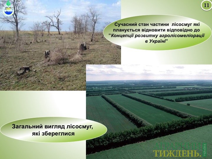 Адаптація систем землеробства на півдні України до змін клімату