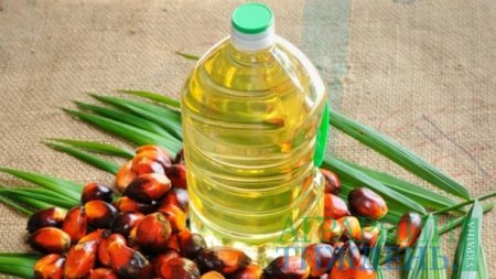 Україна рекордно імпортує пальмову олію