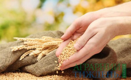 УЗА пропонує «прожарювати» пшеницю на борошномельних підприємствах Індонезії