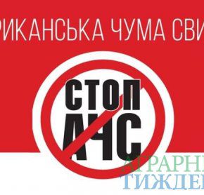С начала года в Украине зафіксувано уже 138 случаев АЧС С начала года в Украине зафіксувано уже 138 случаев АЧС