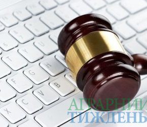 Обнародованы первые результаты электронных земельных торгов Обнародованы первые результаты электронных земельных торгов