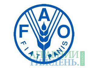 ФАО продолжает поддерживать восстановление восточной Украины, пострадавшей от конфликта ФАО продолжает поддерживать восстановление восточной Украины, пострадавшей от конфликта