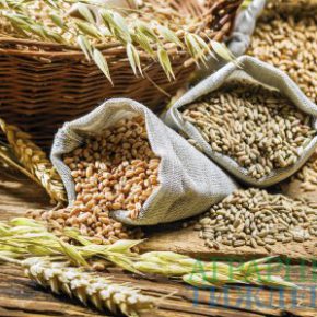 На украинском рынке зерна и продуктов переработки ситуация стабильная На украинском рынке зерна и продуктов переработки ситуация стабильная
