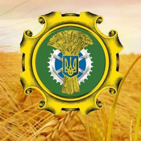 Руководство Минагрополитики провело серию встреч с аграрными министрами стран Европы Руководство Минагрополитики провело серию встреч с аграрными министрами стран Европы