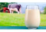 В Украине увеличилась продуктивность коров и производство молока экстра и высшего сортов