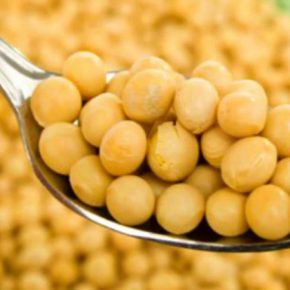 Украина существенно увеличила экспорт продуктов переработки сои Украина существенно увеличила экспорт продуктов переработки сои