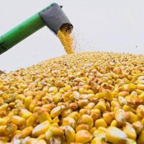 Украина – в ТОП-5 крупнейших экспортеров агропродукции в ЕС Украина – в ТОП-5 крупнейших экспортеров агропродукции в ЕС