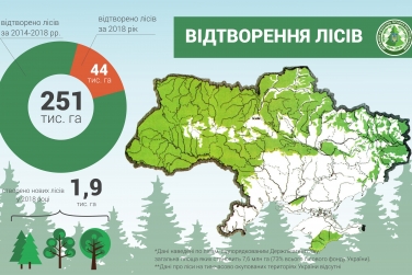 У 2018 році відтворено майже 44 тисячі гектарів лісів, - Держлісагентство