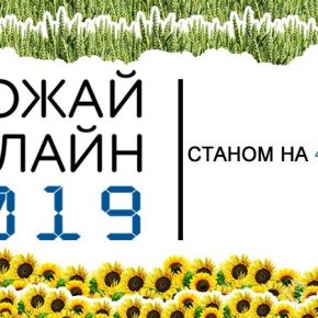 Названы регионы с высокой урожайностью гречихи в Украине — Урожай Онлайн 2019 Названы регионы с высокой урожайностью гречихи в Украине — Урожай Онлайн 2019