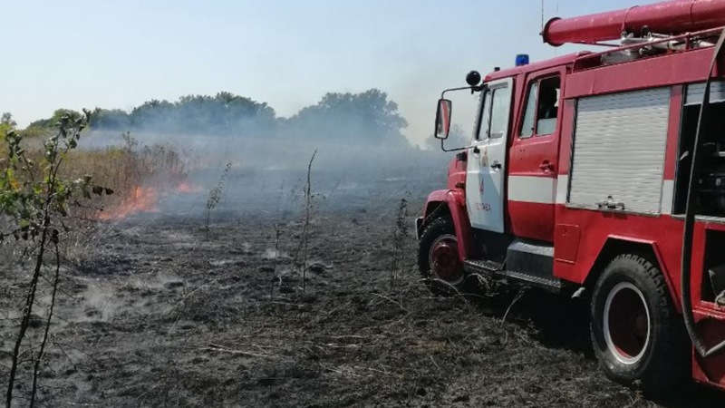 На Полтавщині вогнем знищено понад 20 га кукурудзи