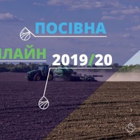 На полях подходит к концу посевная озимого рапса На полях подходит к концу посевная озимого рапса