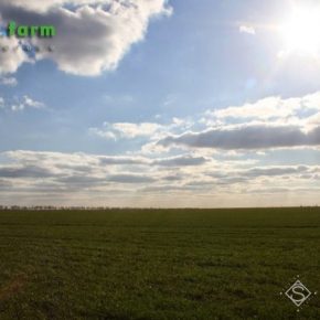 На выходные в Украине прогнозируют сухую и солнечную погоду На выходные в Украине прогнозируют сухую и солнечную погоду