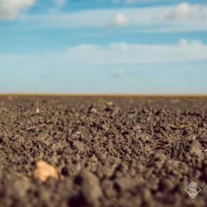 За годы независимости площади земель НААН сократились вдвое За годы независимости площади земель НААН сократились вдвое