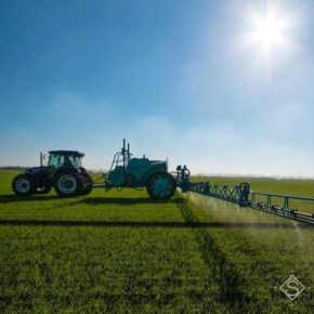 Аграрии отчитались о ходе работ по защите растений на полях Аграрии отчитались о ходе работ по защите растений на полях