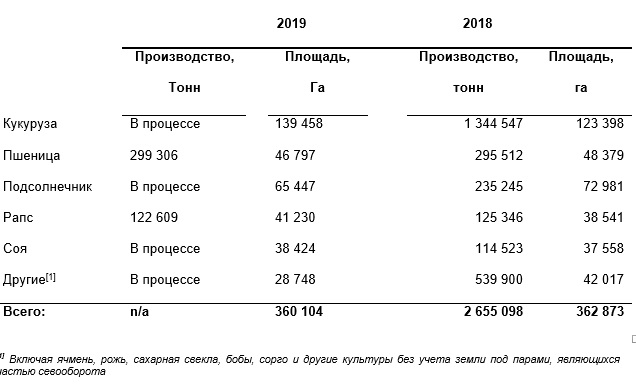 Врожайність кукурудзи в МХП у півтора рази вища середньої по Україні