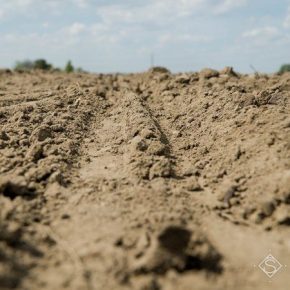 Половина сельхозземель Украины находится в состоянии засухи Половина сельхозземель Украины находится в состоянии засухи