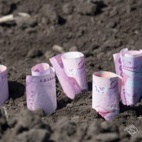С отменой моратория аграрии требуют запретить продажу земли иностранцам С отменой моратория аграрии требуют запретить продажу земли иностранцам