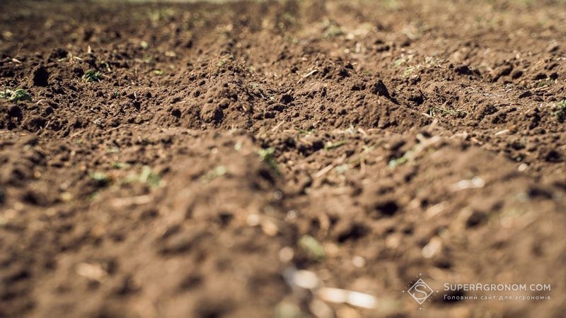 Стан українських ґрунтів стає проблемою екологічної безпеки країни