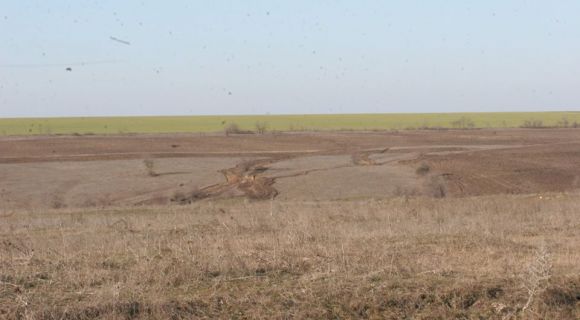 На Миколаївщині фермера звинуватили в знищенні червонокнижних рослин