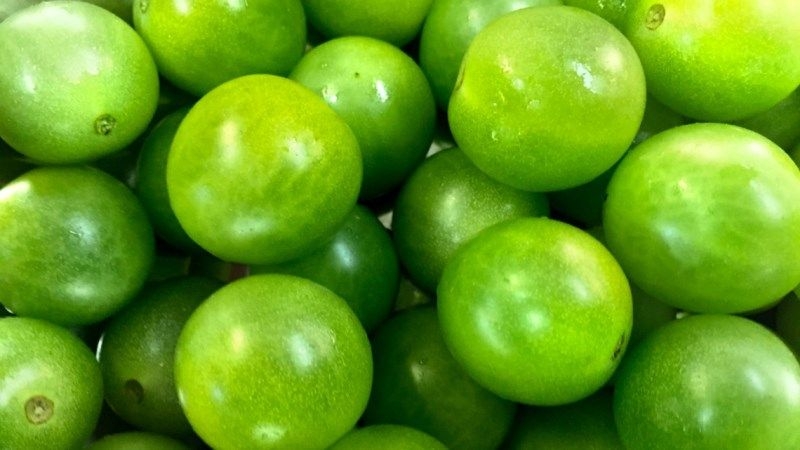 Американські селекціонери вивели зелений сорт томатів черрі