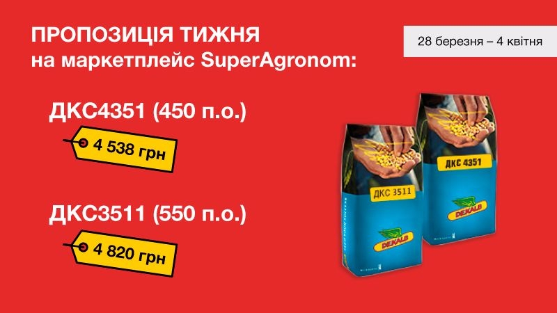 Пропозиція тижня на маркетплейсі SuperAgronom: СуперСтійкість з з гібридами ДКС 3511 і ДКС 4351