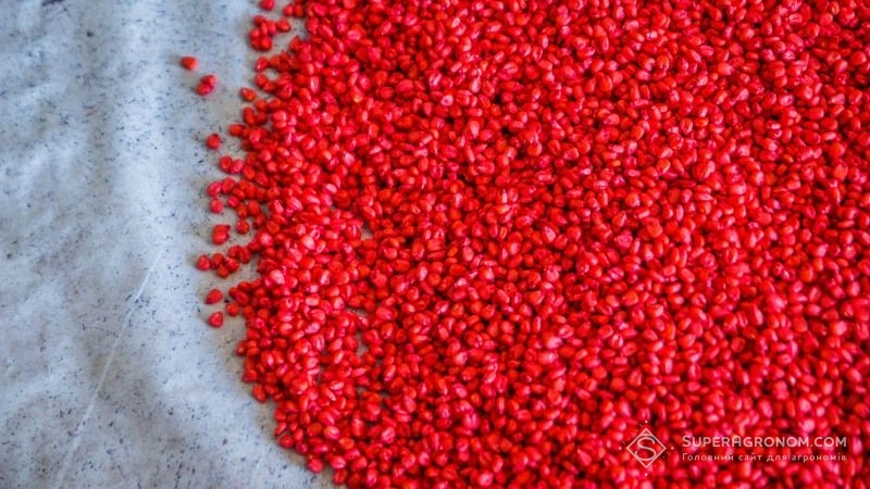 Дефіцит насіння не загрожує аграріям у період весняної посівної — Лімагрейн Україна