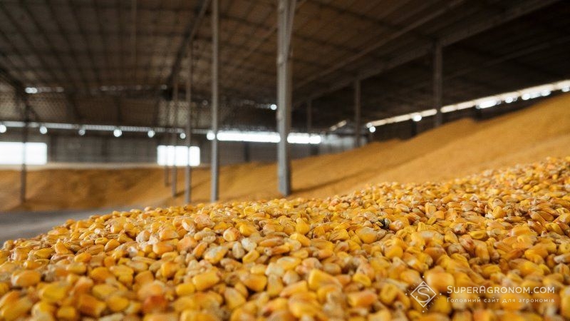 Через шкідників при зберіганні втрачається до 25% зерна