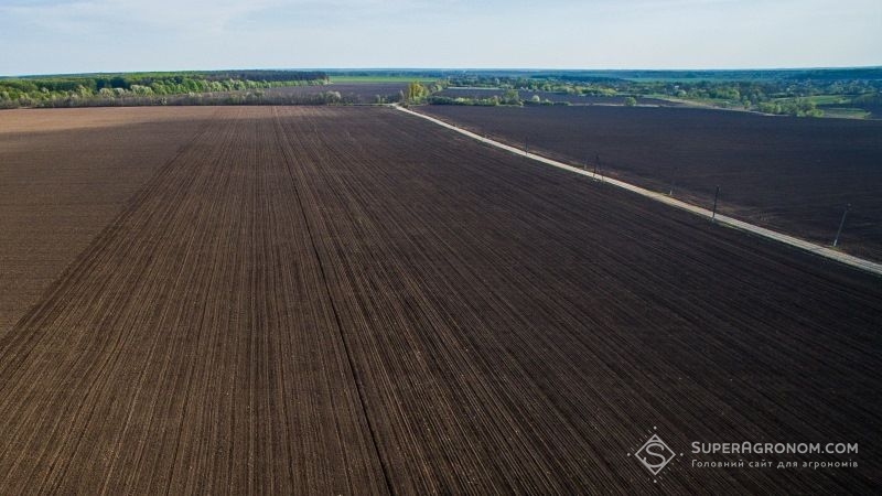 4,3 млн га земель в Україні не зареєстровано в Держгеокадастрі