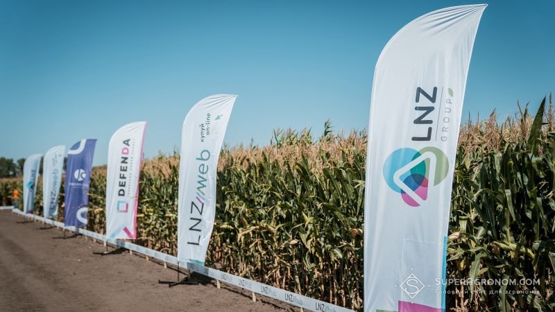 LNZ Group підбила підсумки за літній період