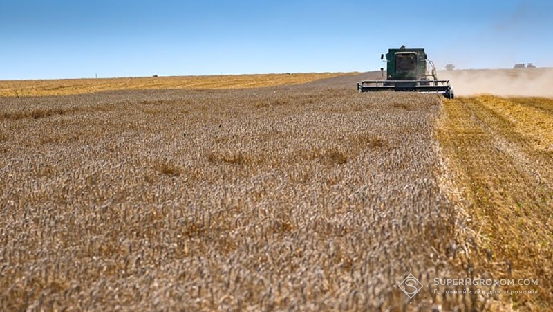 Тернопільські аграрії минулоріч досягнули рекордного збору зернових