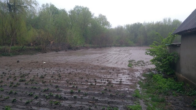 Локальні сильні зливи позмивали посіви на полях окремих областей