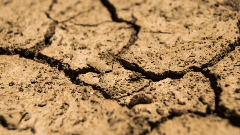 Аграріям Півдня, які постраждали від посухи, пропонують надати 2 роки податкових пільг