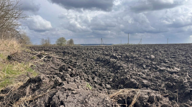 14% плана засеяно: что дальше с посевной-2026