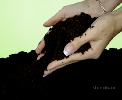 обогащение почвы 