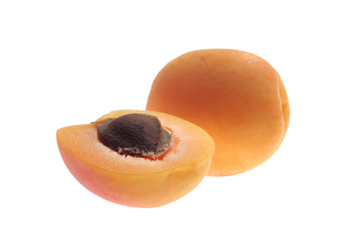 абрикос обыкновенный