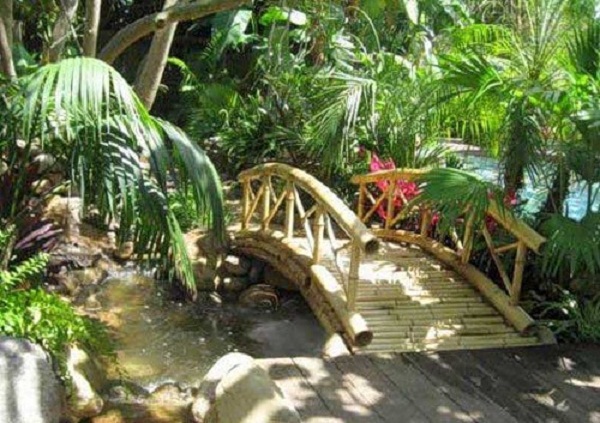 бамбук в ландшафтном дизайне