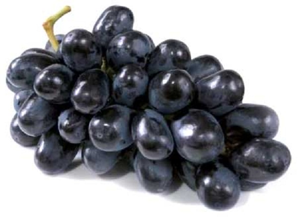 темный сорт винограда