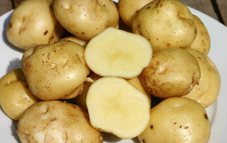 технологии выращивания картофеля