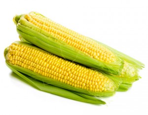 Какой урожай кукурузы в Украине 