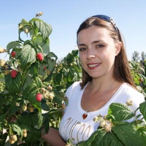 Новый сорт малины Аленький