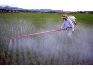 Меры безопасности при работе с пестицидами