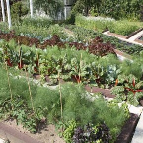 Органическое земледелие и экологически дружественное садоводство