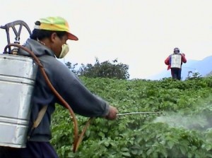  применения пестицидов в садах и ягодниках