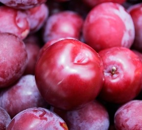 Какие сорта яблонь и груш подходят больше для Ивано-Франковской облости?