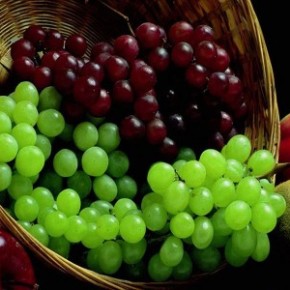Виноград-это символ жизненной нивы