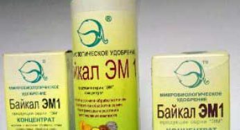Микроорганизмы на помощь огороднику