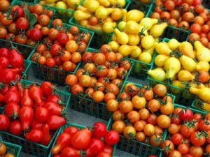  томаты в огороде