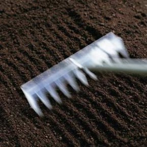 Обработка почвы для смородины