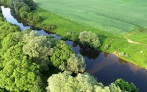 стоимость пашни в Украине