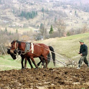 Сельское хозяйство и развитие села